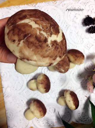 #柏翠大赛#milk Mushroom Bread recipe