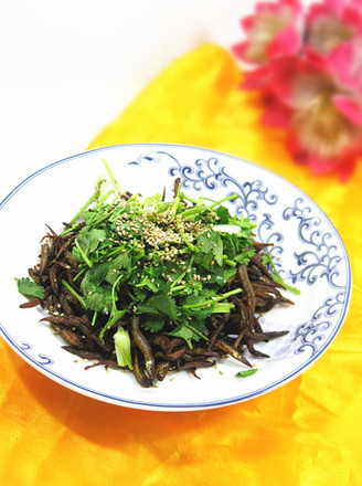 Coriander and Dried Whitebait recipe