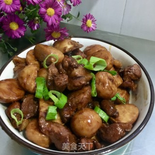 "carrot" Braised Pork and Stewed Tofu with Carrots recipe