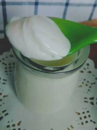 Homemade Kefir Yogurt recipe