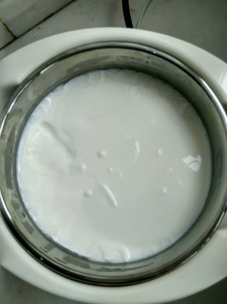 Homemade Yogurt