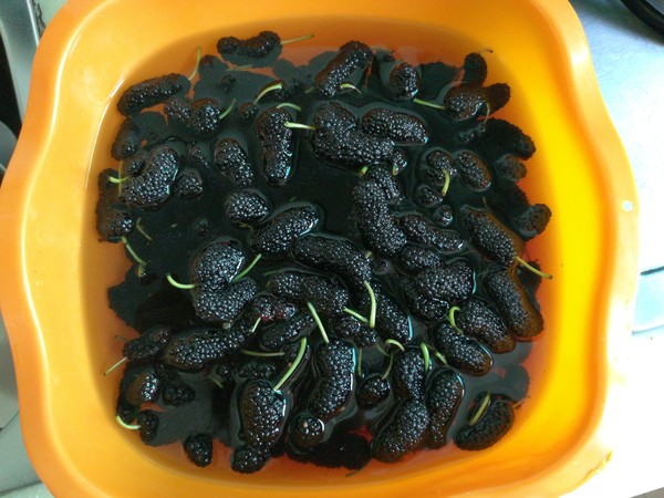 Mulberry Jam recipe