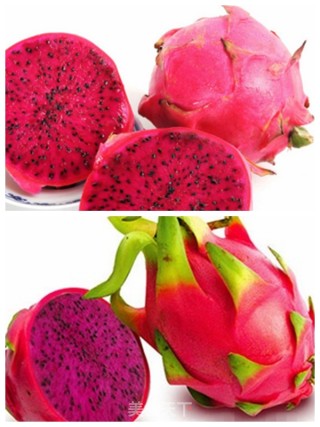 Dragon Fruit Soft European Buns recipe