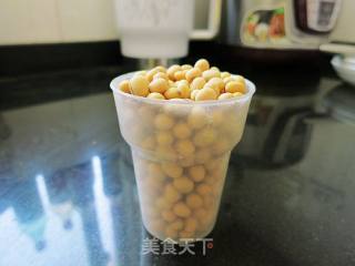 Homemade Bean Curd with Joyoung Soymilk recipe