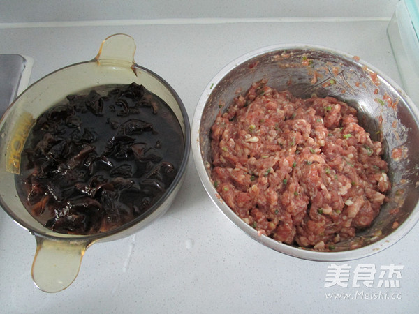 Black Fungus and Fresh Meat Potstickers recipe