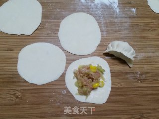 Pork Dumplings Stuffed with Watermelon Skin recipe