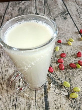Green Bean Peanut Soy Milk recipe