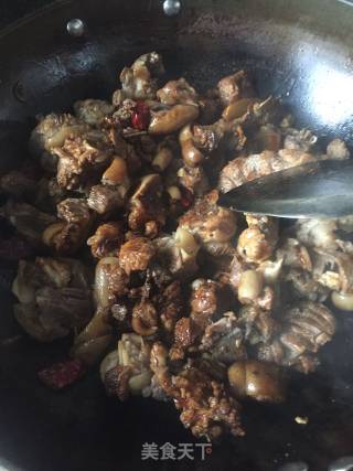 Lamb Braised Radish recipe