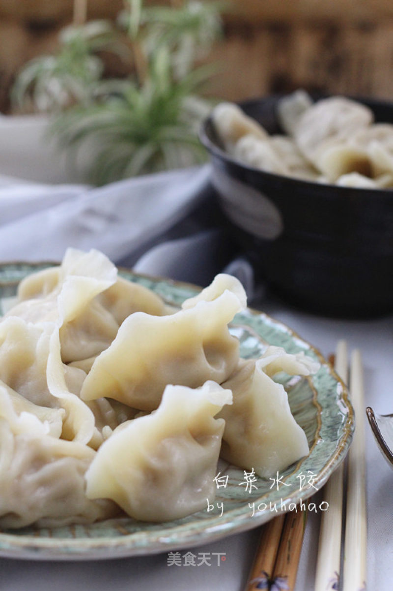 Cabbage Pork Dumplings recipe