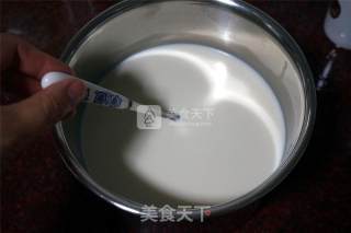 Freshly Brewed Silky Yogurt recipe