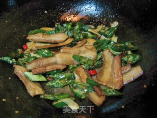 Stir-fried Pork Belly recipe