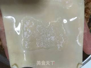 Fresh Meat Wonton recipe