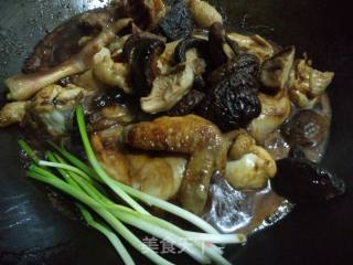 Braised Chicken with Mushrooms and Fungus recipe