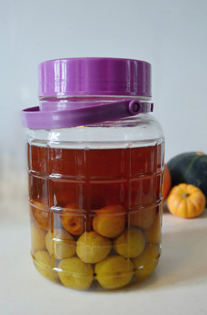 [green Plum Wine] Intoxicating Time of Plums (filled in Pit) recipe