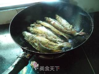 Green Pepper River Fish recipe