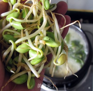 Wakame Bean Sprouts Vegetarian Soup recipe