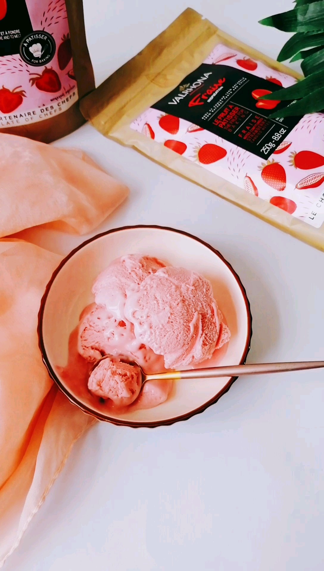 Strawberry Chocolate Ice Cream