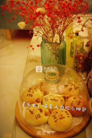 #aca烤明星大赛#meow Star Person Small Row Bag recipe