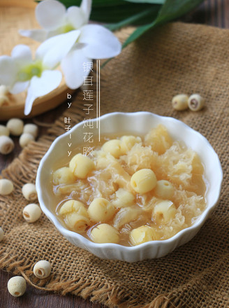 Stewed Flower Maw with Tremella and Lotus Seed