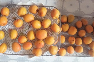 Original Dried Apricot recipe