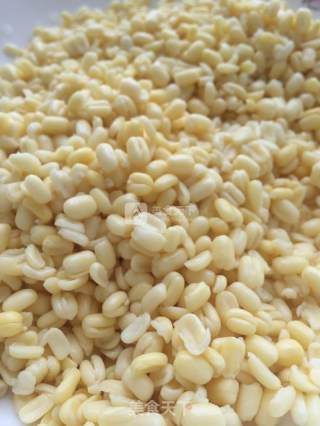 Homemade Natural Mung Bean Cake recipe