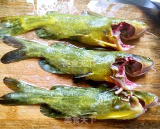 Cucumber Braised Yellow Bone Fish recipe