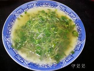 Radish Sprouts recipe