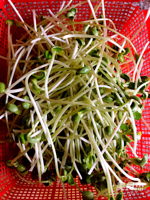 Fried Pork with Pea Sprouts recipe