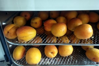 Original Dried Apricot recipe