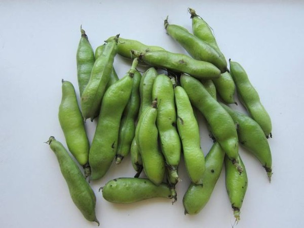 Fragrant Broad Beans recipe