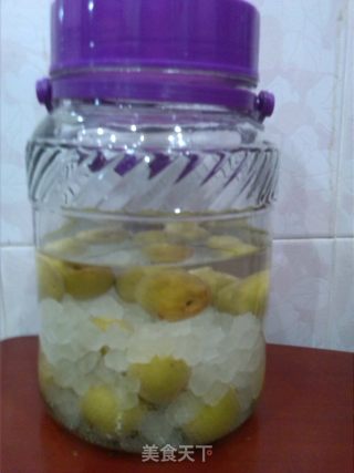 Green Plum Wine recipe