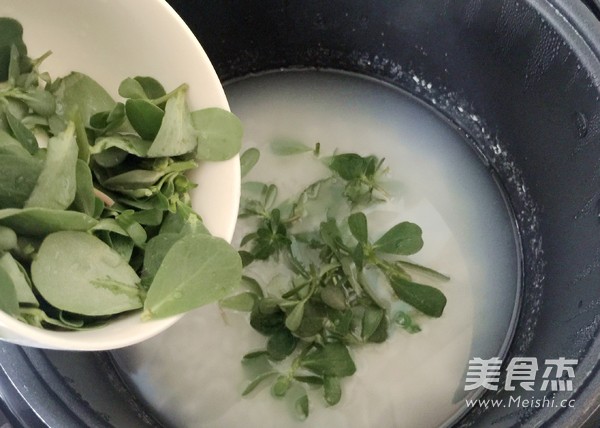 Purslane Congee recipe