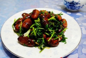 Coriander Pupa recipe