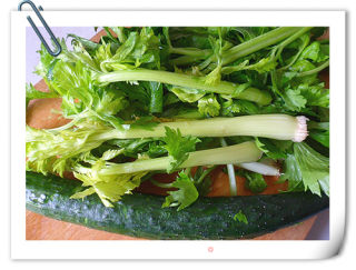 Honey Cucumber Celery Juice recipe
