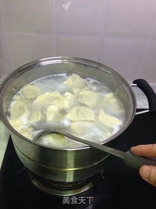 Handmade Dumplings recipe