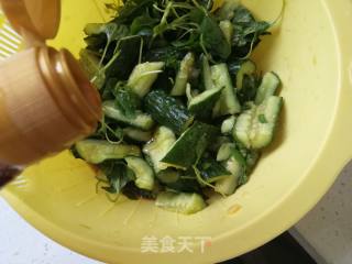 Cucumber to Egg Mix with Nepeta recipe