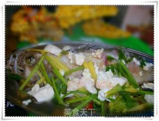 Home-cooked Dishes @@豆腐 Steamed Grouper recipe