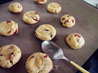 Perfect Cranberry Chocolate Soft Cookies recipe