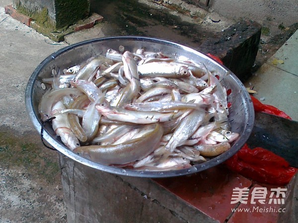 Fried Small Crucian Carp recipe