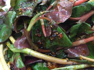 #春野菜# Root and Leaves in Cold Seasoning recipe