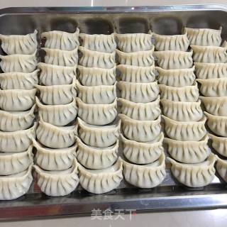 Dumplings (pork Dumplings and Leek Dumplings) recipe