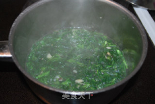 Nettle Sprout Soup recipe