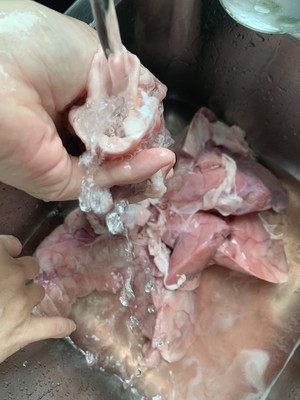 Clean Pig Lungs recipe