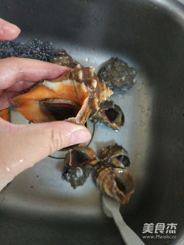 Boiled Conch recipe