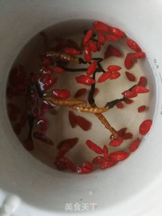 Wolfberry Cordyceps Tea recipe