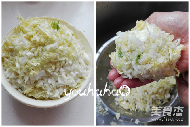 Chinese Cabbage and Pork Buns recipe