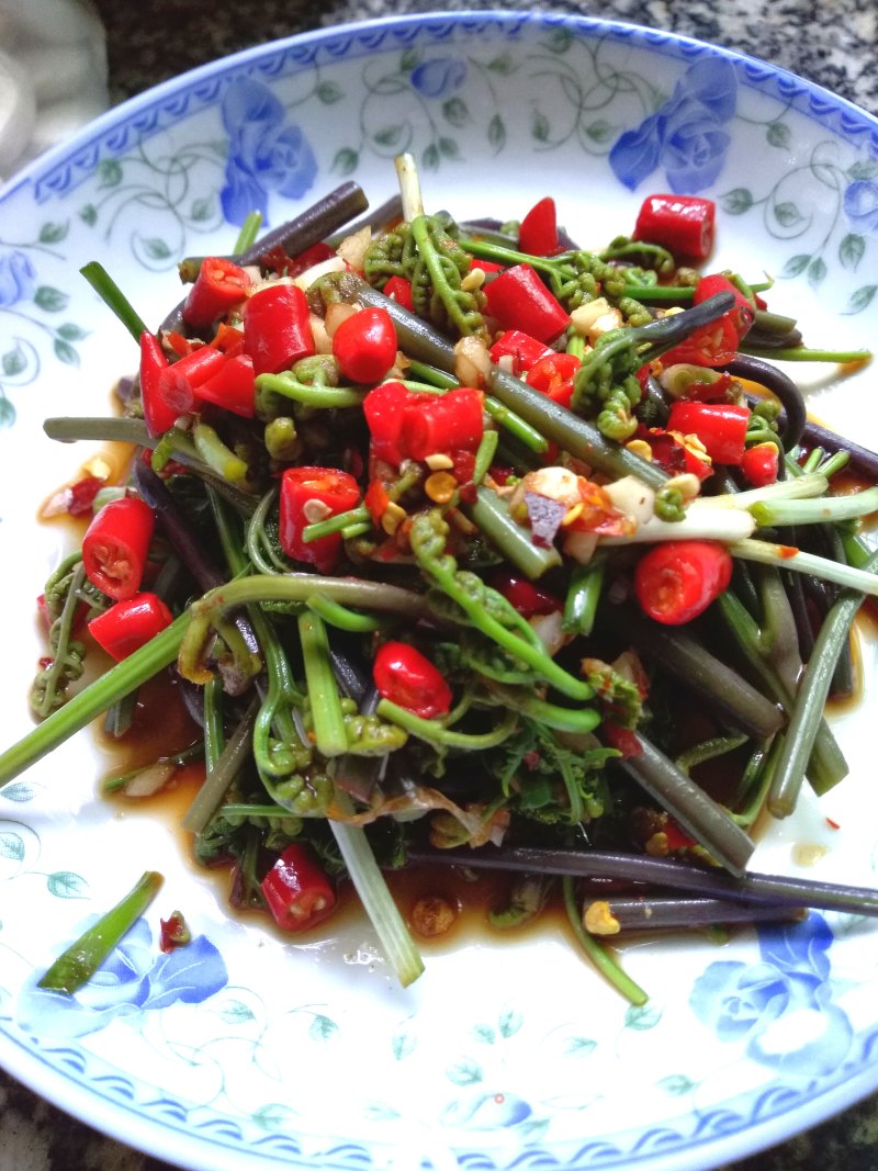 Bracken Fiddlehead recipe