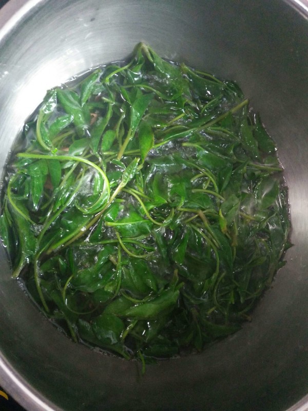 Wild Soft Pulp Leaf recipe