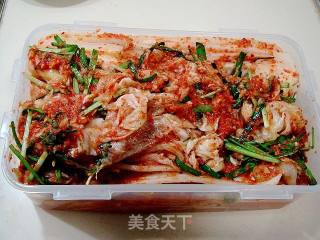 One of The Important Ingredients of Korean Food "spicy Cabbage" recipe