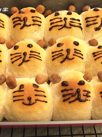 Kitten Squeezes Bread